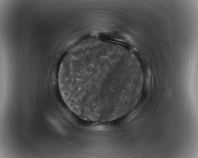 X0000084050620200703092054