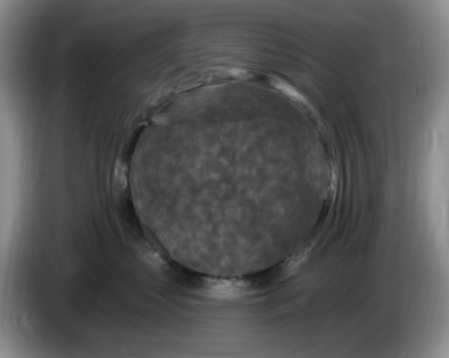 X0000084050621200703092053