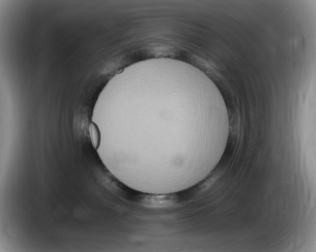 X0000084050622200703092053