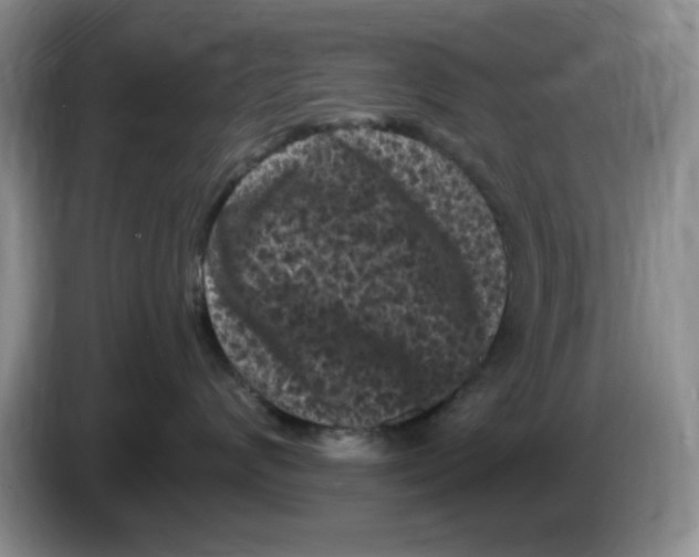 X0000084050624200703092053