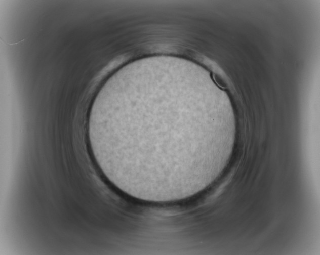 X0000084050625200703092053