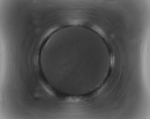 X0000084050627200703092053