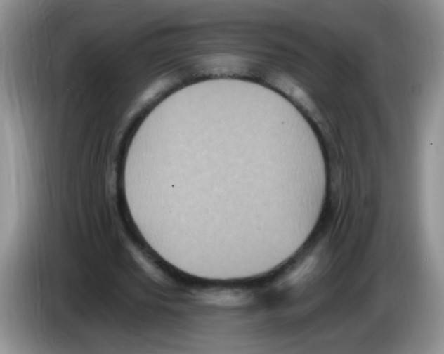 X0000084050629200703092053