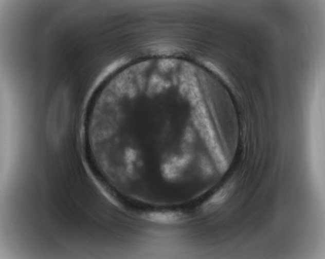 X0000084050630200703092053