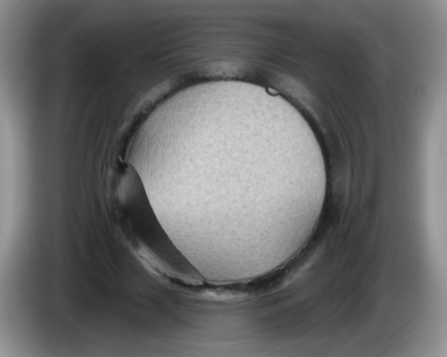 X0000084050633200703092053