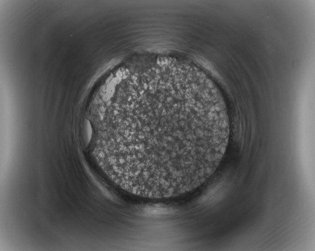 X0000084050634200703092053