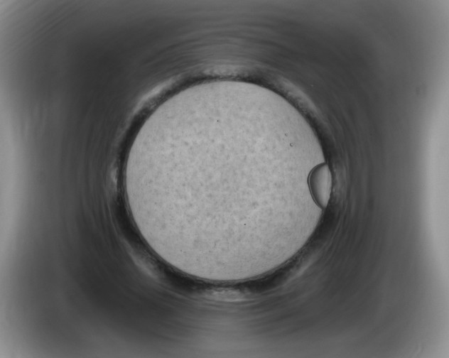 X0000084050636200703092053