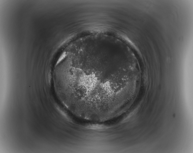 X0000084050637200703092053