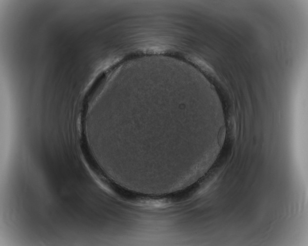 X0000084050638200703092053