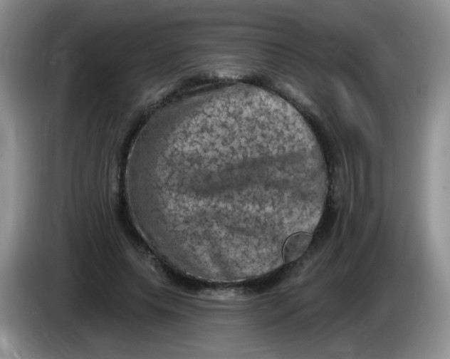 X0000084050639200703092053