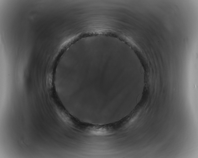 X0000084050640200703092053