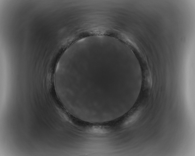 X0000084050641200703092053