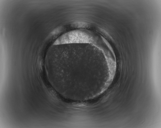 X0000084050643200703092053