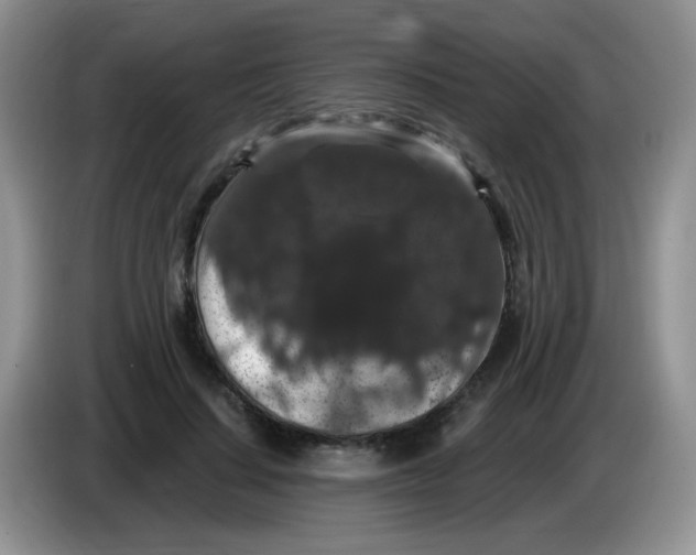 X0000084050644200703092053