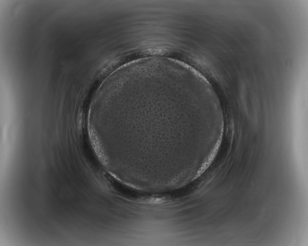 X0000084050647200703092053