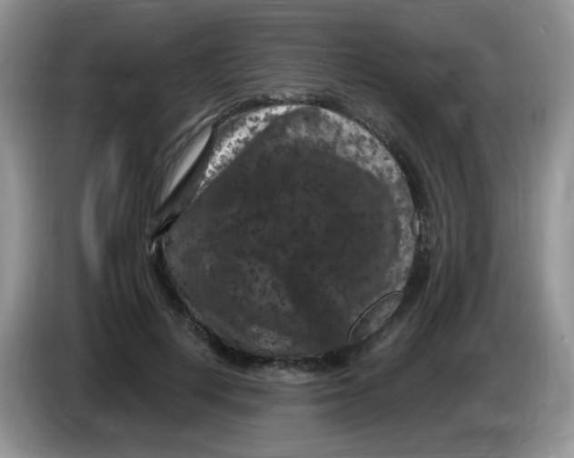 X0000084050648200703092053