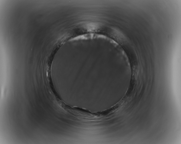 X0000084050650200703092053