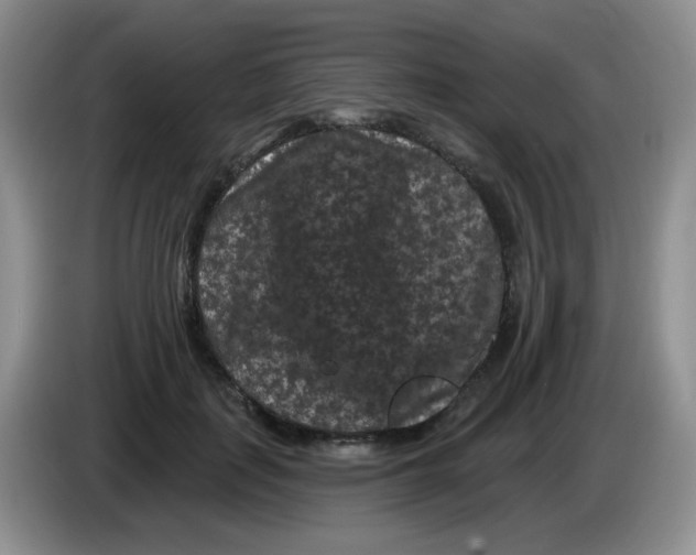 X0000084050651200703092053