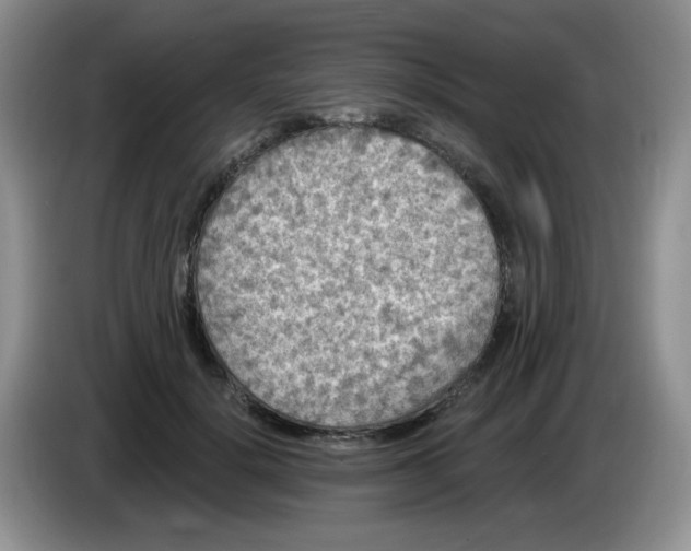 X0000084050652200703092053