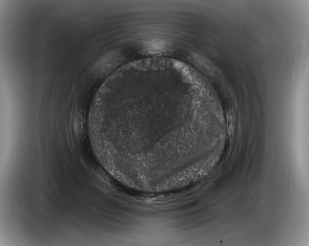 X0000084050653200703092053