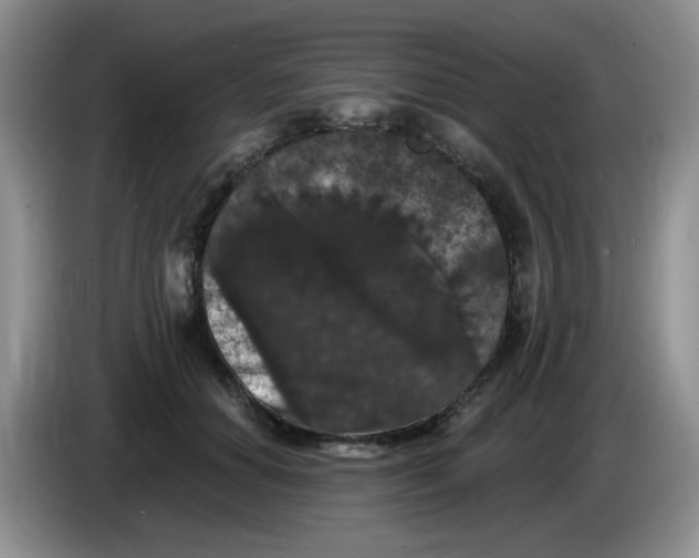 X0000084050654200703092053