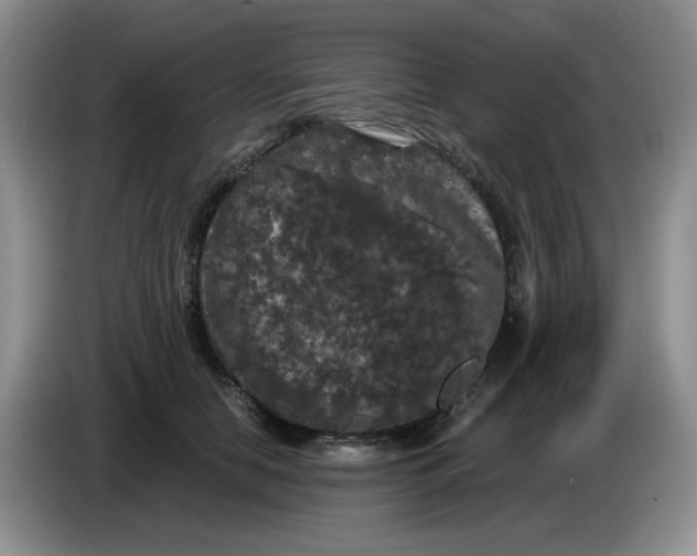 X0000084050658200703092053