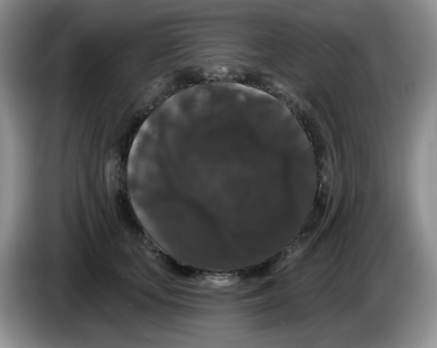 X0000084050659200703092053