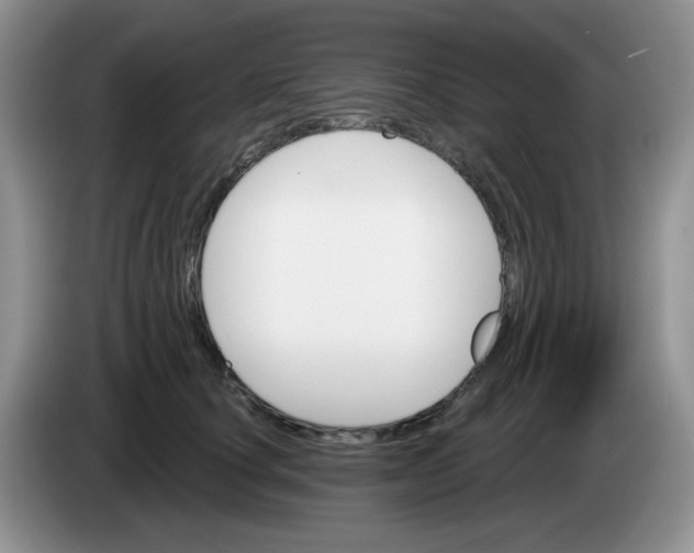 X0000084050660200703092053