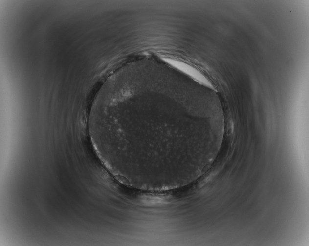 X0000084050661200703092053