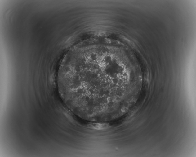 X0000084050663200703092053