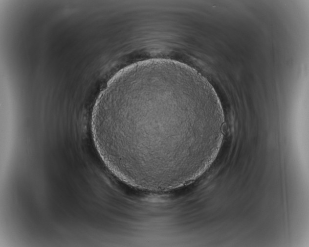 X0000084050664200703092053