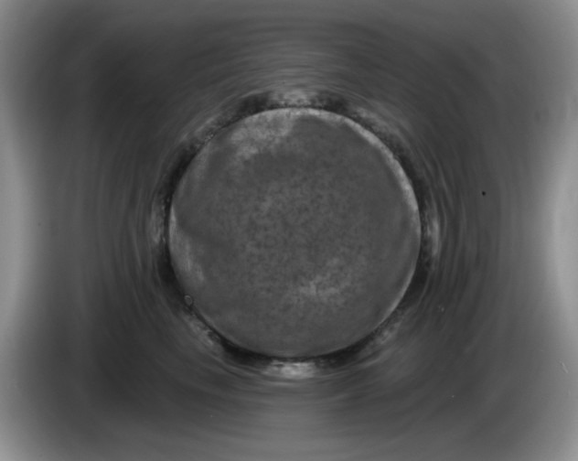 X0000084050665200703092053