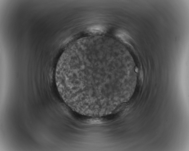 X0000084050668200703092053