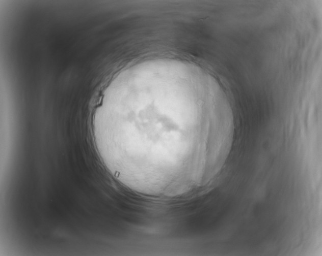 X0000084050672200703092053