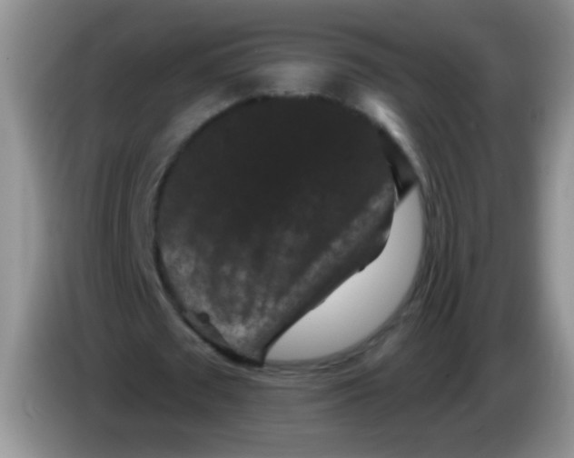 X0000084050673200703092053