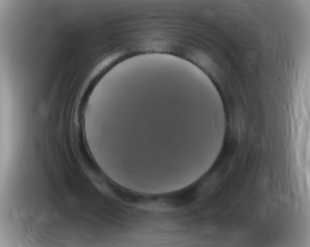 X0000084050674200703092053