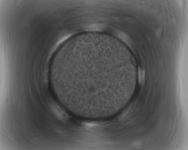 X0000084050675200703092053