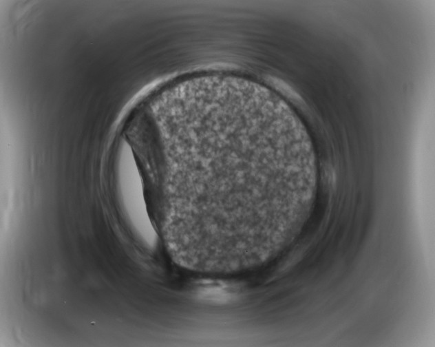 X0000084050676200703092053