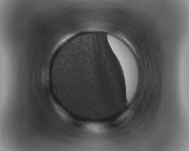 X0000084050677200703092053