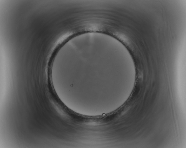 X0000084050678200703092053