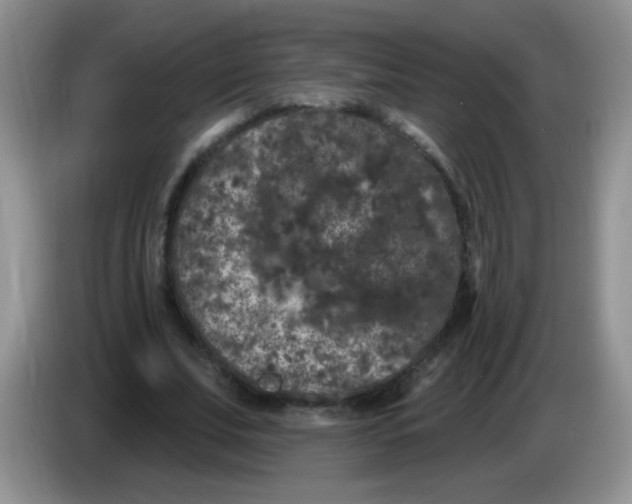 X0000084050679200703092053