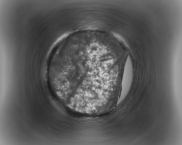 X0000084050680200703092053