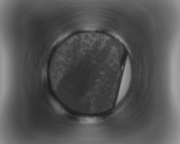 X0000084050681200703092053