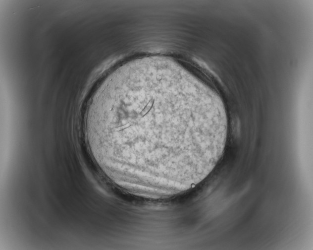 X0000084050682200703092053