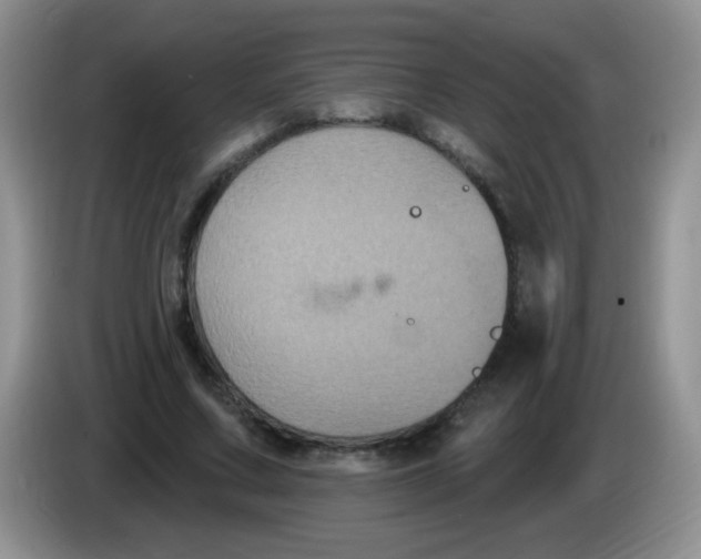 X0000084050683200703092053