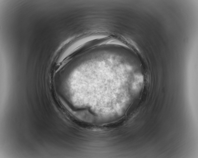 X0000084050684200703092053