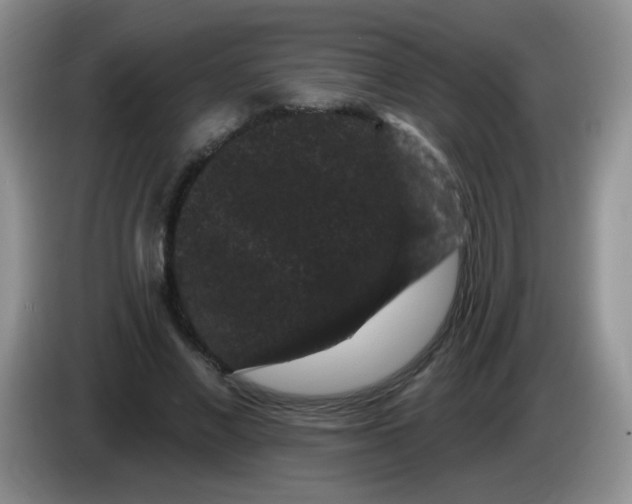 X0000084050685200703092053