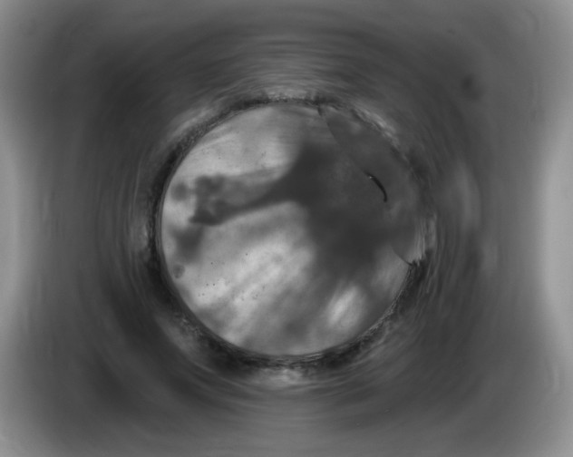 X0000084050687200703092053