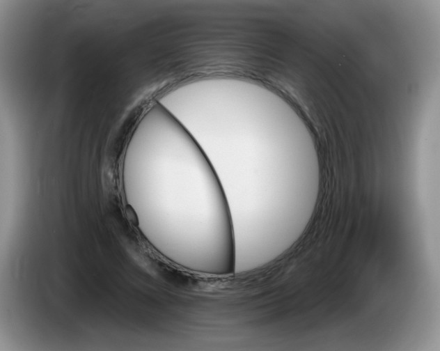 X0000084050688200703092053