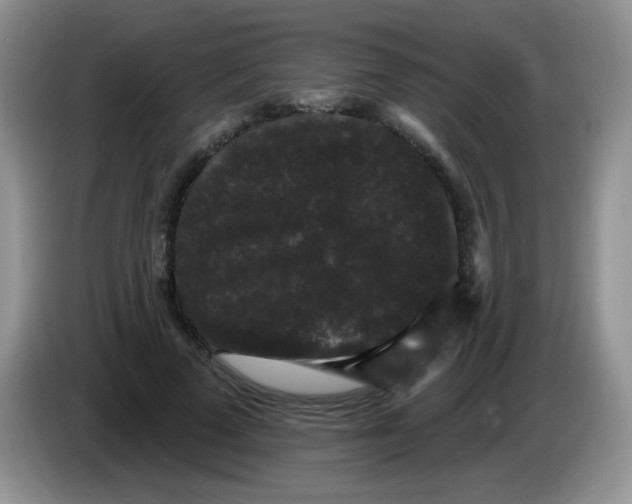 X0000084050689200703092053